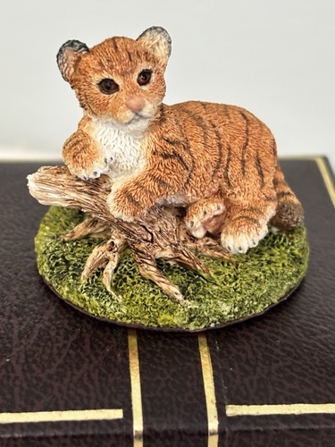 Country artists tiger cub - tiger,