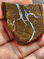 100cts Australian Boulder Rough opal  Gamble stone