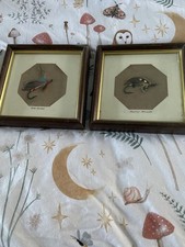A Pair Of Framed Fishing Flies Trout/salmon