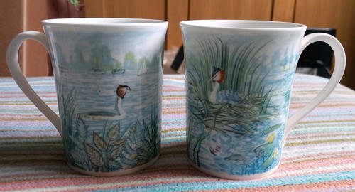 Two riverbank grebe fine - 'riverbank',