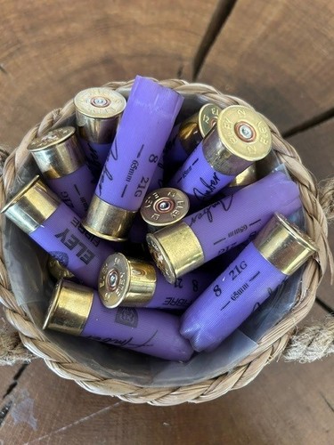 Spent shotgun cartridge - cartridge, cases
