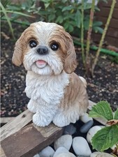 Shih tzu dog - shih, ornament