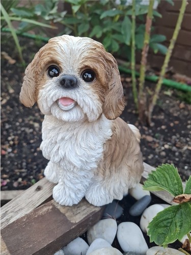 Shih tzu dog garden - tzu, ornament