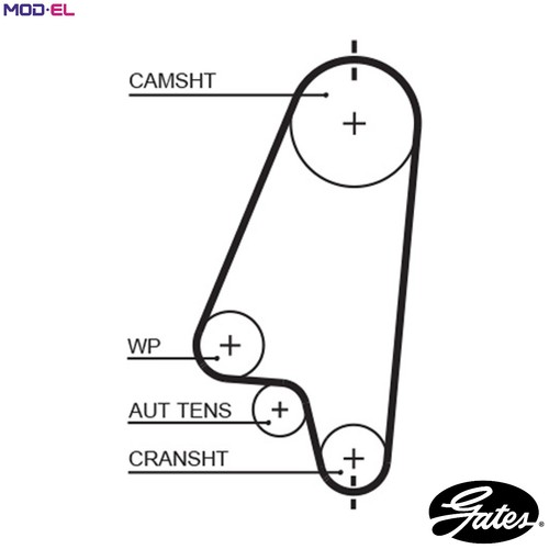 Timing belt 5310xs - belt, for