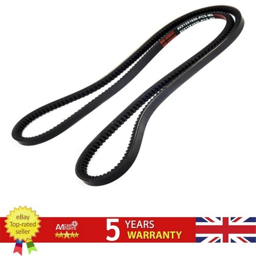 Belt for daf 91 - v-belt, 74-91
