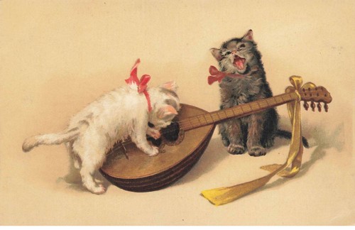 Cats mk39901 white and - and, gray