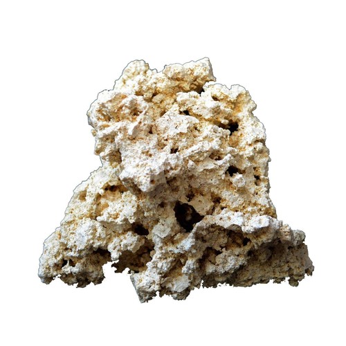 Dry ocean reef rock 20cm - ocean, 13-20cm