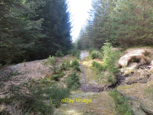 Photo 6x4 mountain bike - photo,