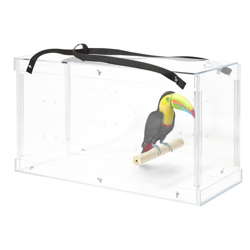 Pennzoni macaw acrylic - macaw,