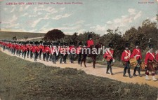 0339. British Army Edwardian