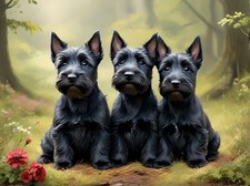 A5 greeting card can be