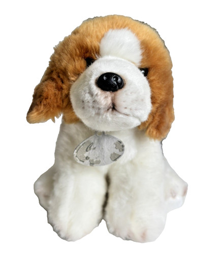 Cavalier king charles - cavalier,