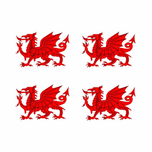 Set welsh dragon - set, of
