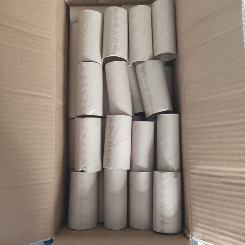Empty toilet rolls - 50, craft