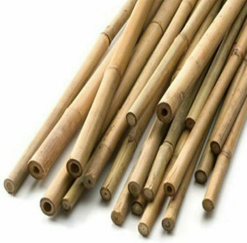 4ft bamboo canes heavy - heavy, duty