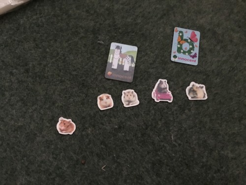 Fridge magnets pets 2 - magnets,