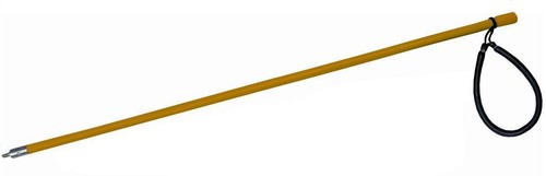 Lionfish travel spear - lionfish, pole