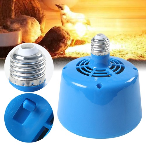 Heat lamp bulb poultry brooder - poultry,