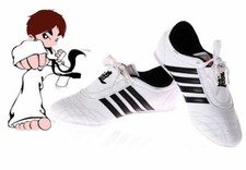 Taekwondo Training Shoe Kung