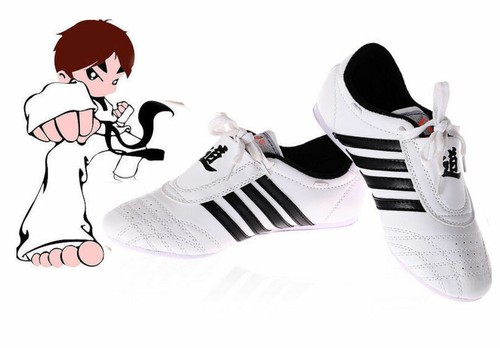 Taekwondo training shoe kung - training,