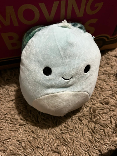 Turtle squishmallow 8 - turtle,