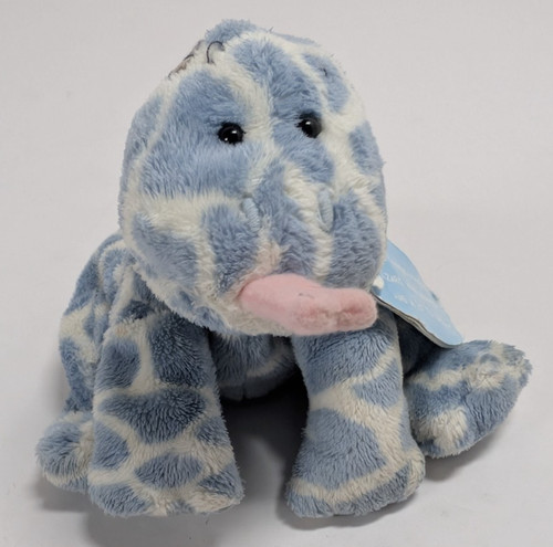Blue nose friends lizard - my,