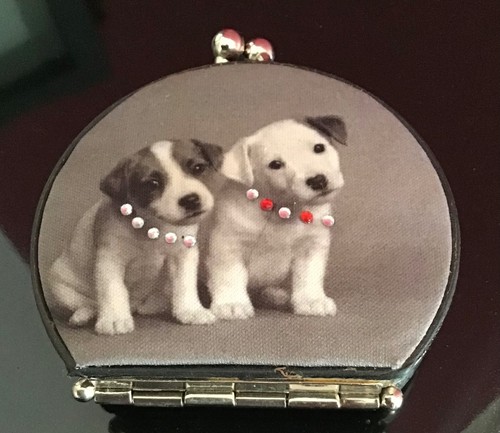 Jack russell puppies compact - jack,