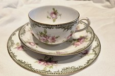 Rare Early 1900-1910 Set of Crown Staffordshire China England