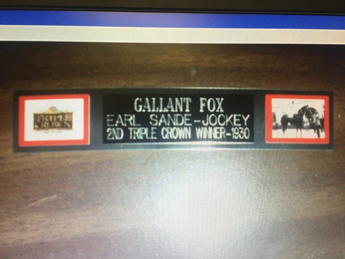 Gallant fox - fox, (horse