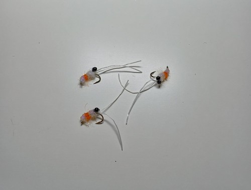 Mullet hot spot shrimp uv - mullet,