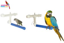 RAINFOREST PARROT BIRD WINDOW