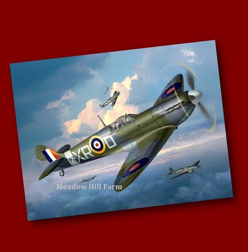 Fridge magnet raf spitfire ww2 - fridge,