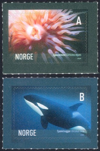 Norway 2005 orca whales sea - norway,