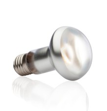 Exo terra bulb reptile - bulb, lamp
