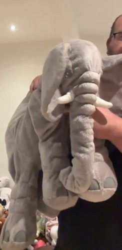 Giant elephant teddy bear - giant,