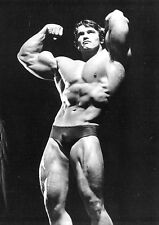 A3 SIZE - ARNOLD