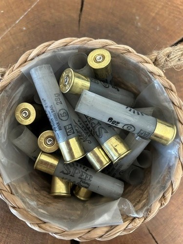 Spent shotgun cartridge - cartridge, cases