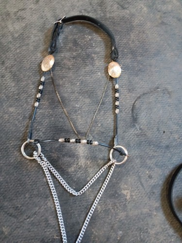 Miniature horse show halter - horse,