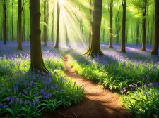 BLUEBELL WOODLAND FOREST CANVAS PICTURE PRINT WALL ART - Painting style