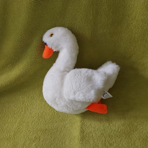 Richard lang son white swan - richard,