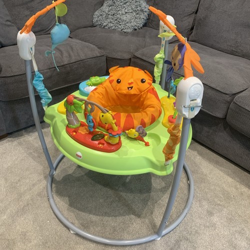 Fisher price jumperoo - fisher-price,