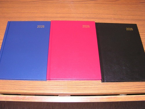2026 diary day page - 2026,