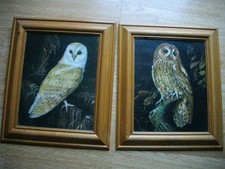 2 x  Framed Owl Pictures -