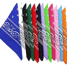 Pack of 5 XL Paisley Bandana