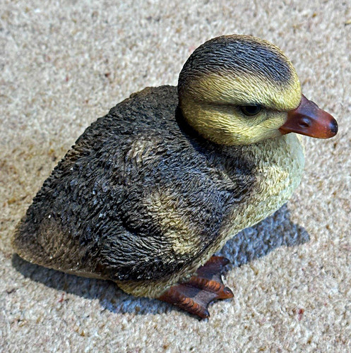 Duck duckling ornament - duckling,