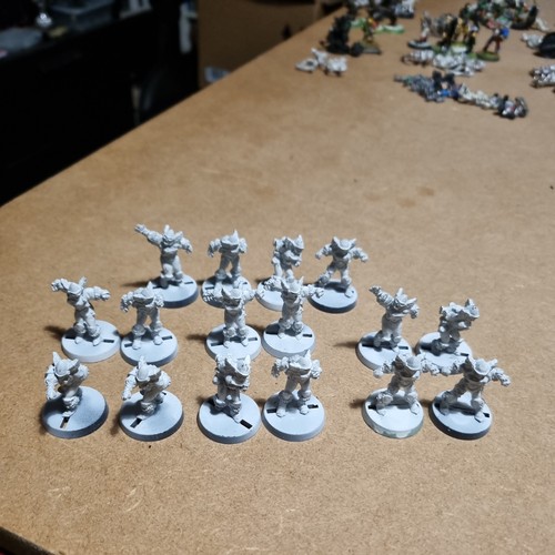 Blood bowl amazon valkyries - blood,