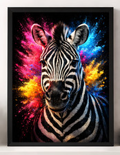 Zebra Wildlife Animals  Paint