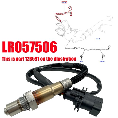 Oxygen sensor for land - oxygen,