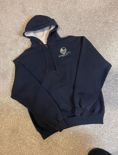 Champion navy pullover hoodie - navy,