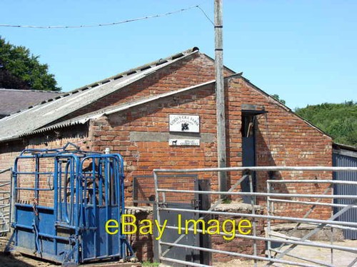 Photo 6x4 cattle crush and - crush,